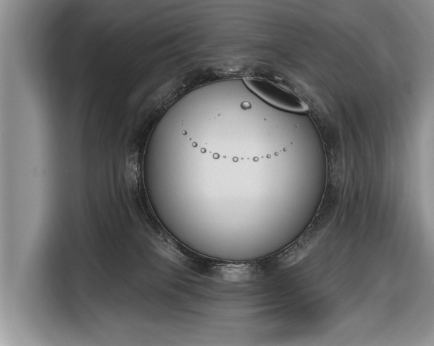X0000116380085200912091423