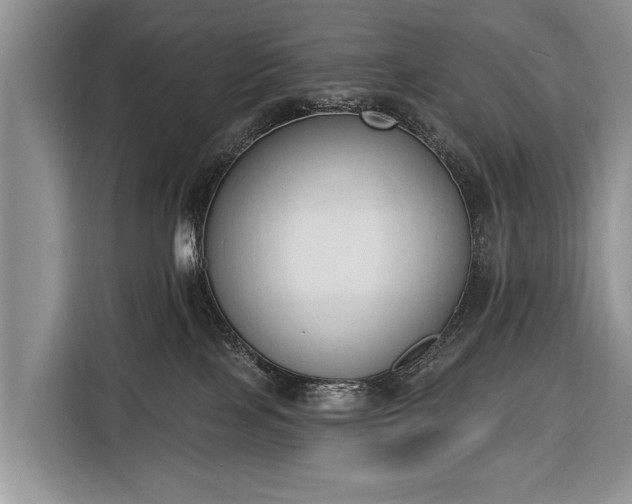 X0000116380089200912091423