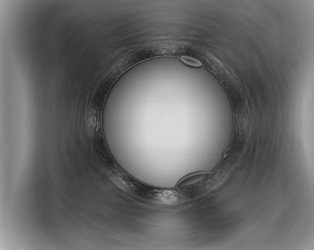 X0000116380091200912091423