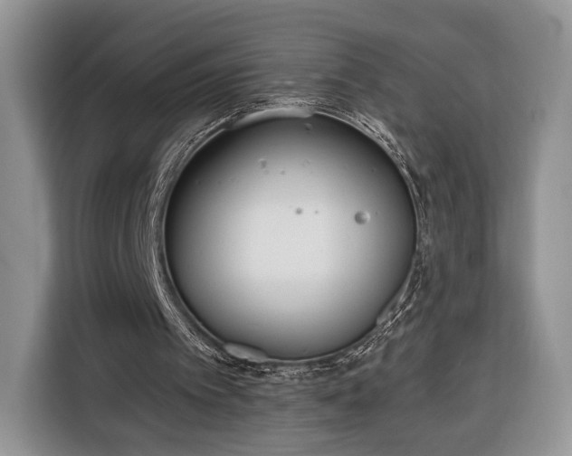 X0000116380097200912091422