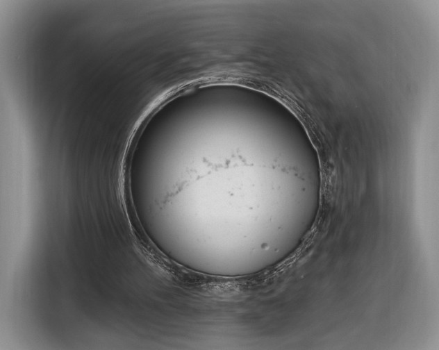 X0000116380100200912091422