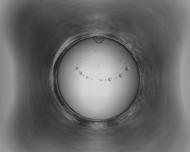 X0000116380102200912091422