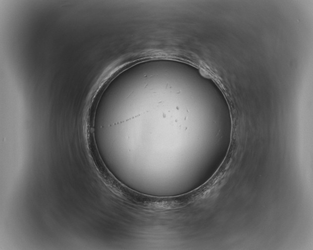 X0000116380103200912091422