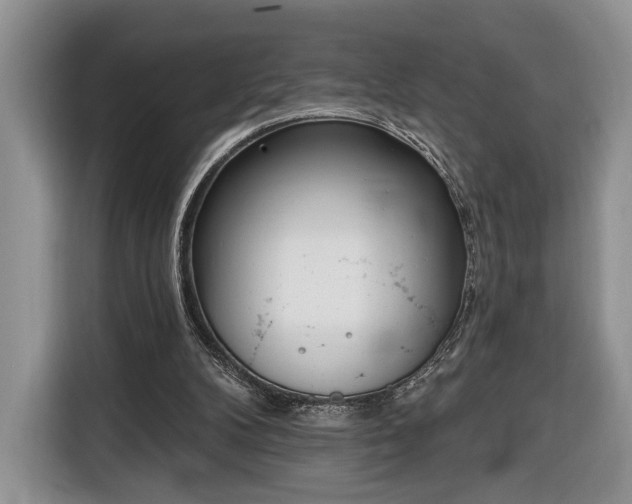 X0000116380104200912091422