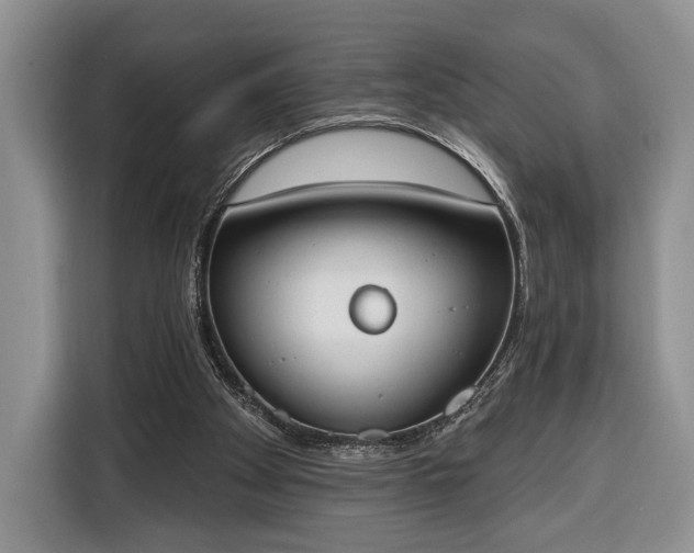 X0000116380105200912091422