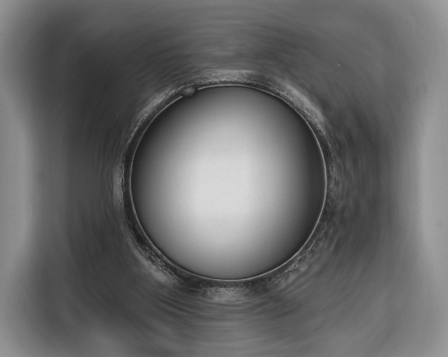 X0000116380107200912091422
