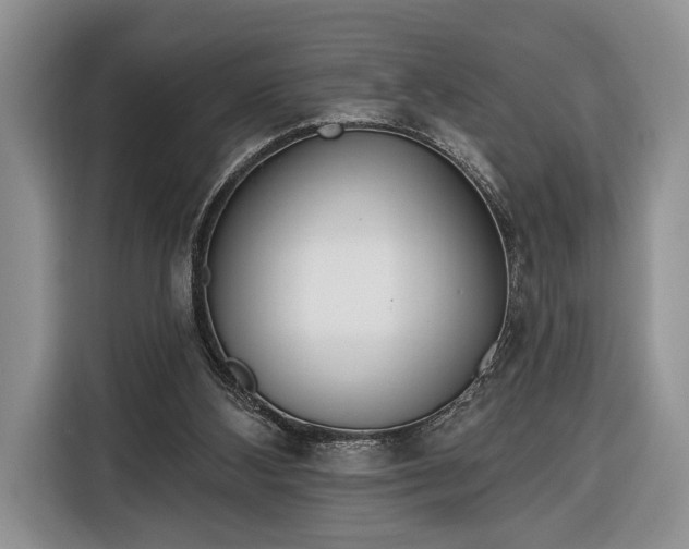 X0000116380108200912091422