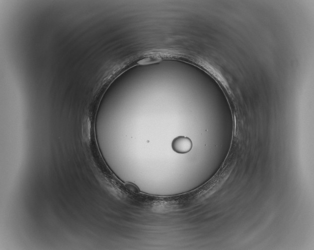 X0000116380109200912091422