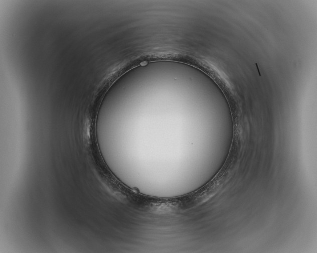 X0000116380115200912091422