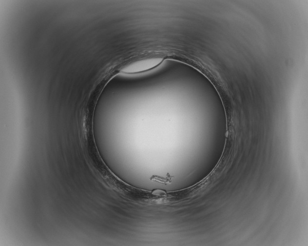 X0000116380116200912091422