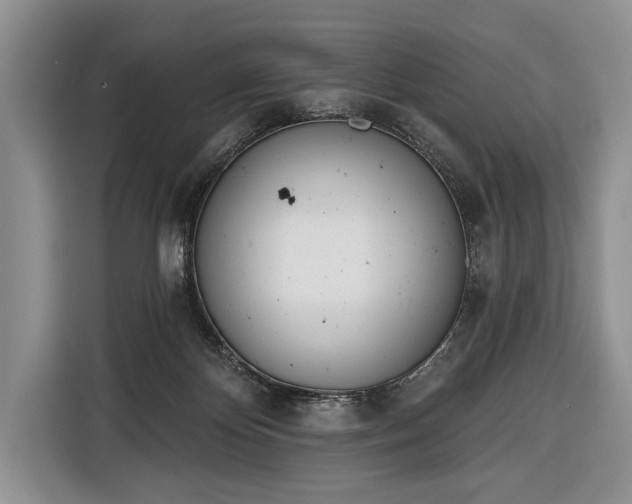 X0000116380124200912091422