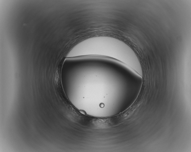 X0000116380129200912091422