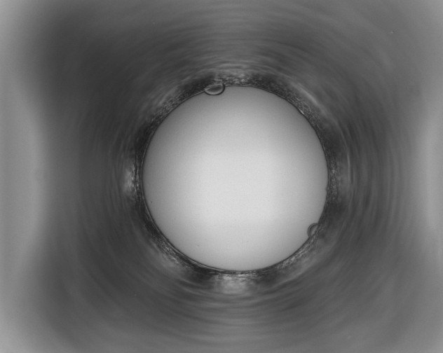 X0000116380134200912091422
