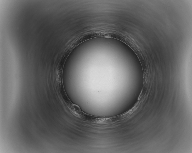 X0000116380136200912091422
