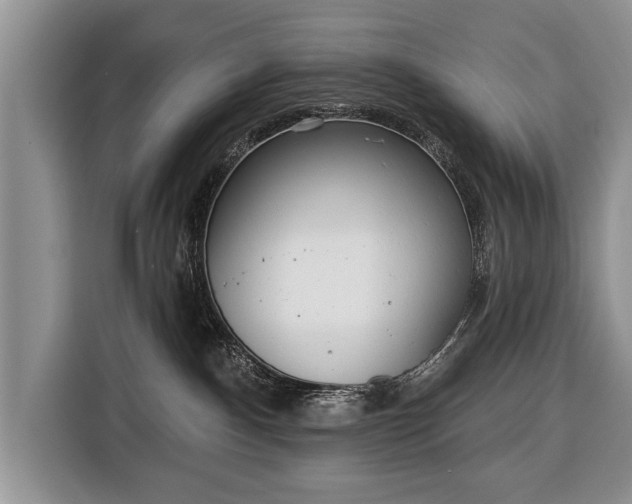 X0000116380140200912091422