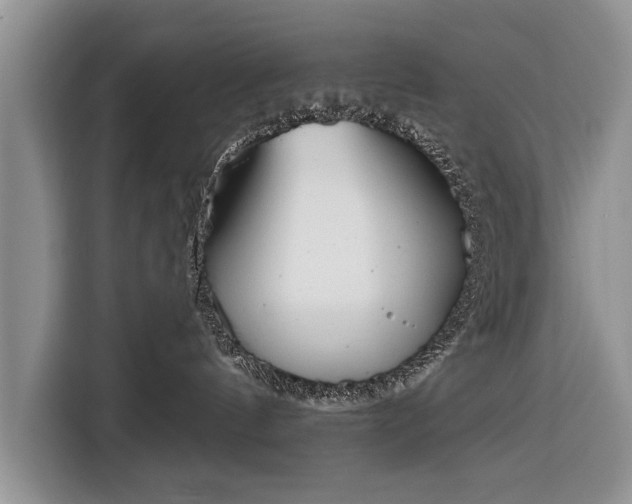 X0000116380144200912091422