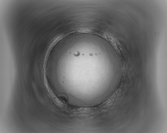 X0000116380145200912091421