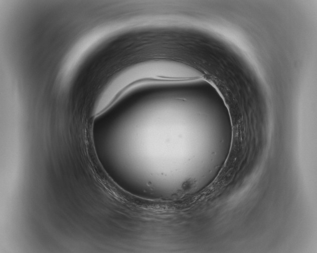 X0000116380146200912091421