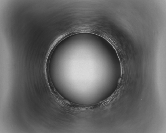 X0000116380147200912091421