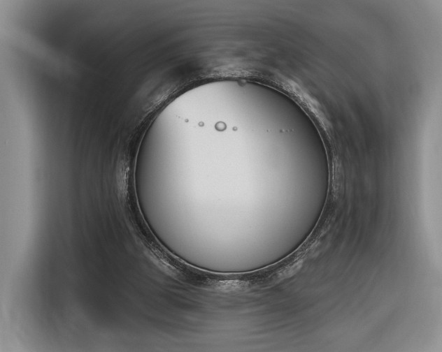 X0000116380153200912091421