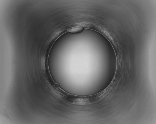 X0000116380154200912091421