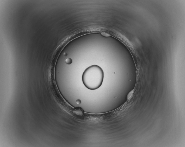 X0000116380155200912091421