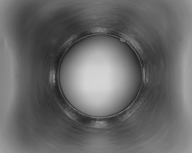 X0000116380157200912091421
