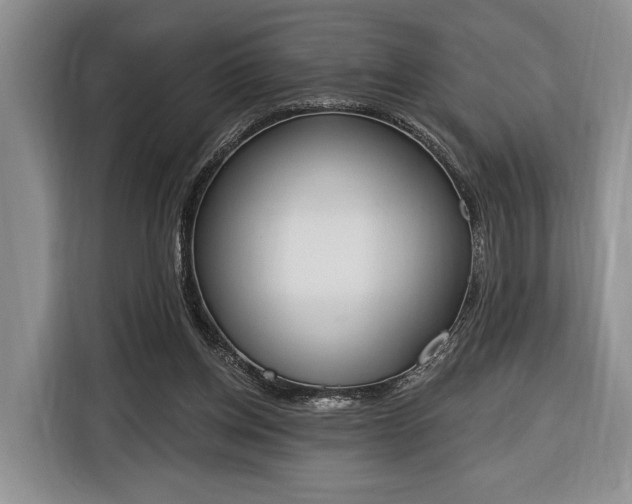 X0000116380158200912091421