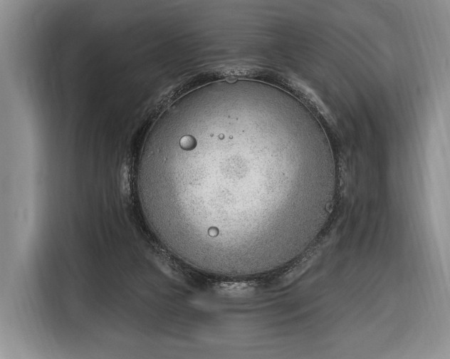 X0000116380161200912091421