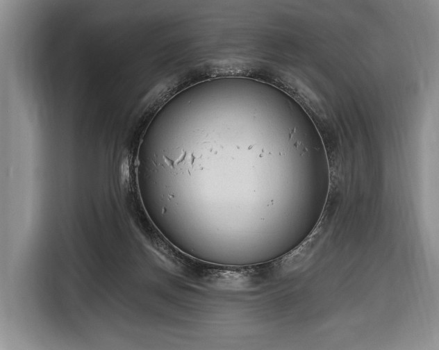 X0000116380166200912091421