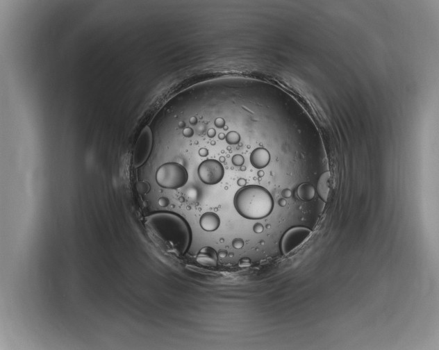 X0000116380167200912091422