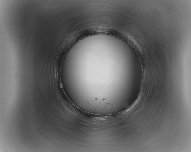 X0000116380170200912091422