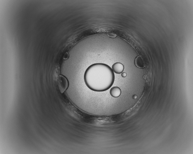 X0000116380175200912091422