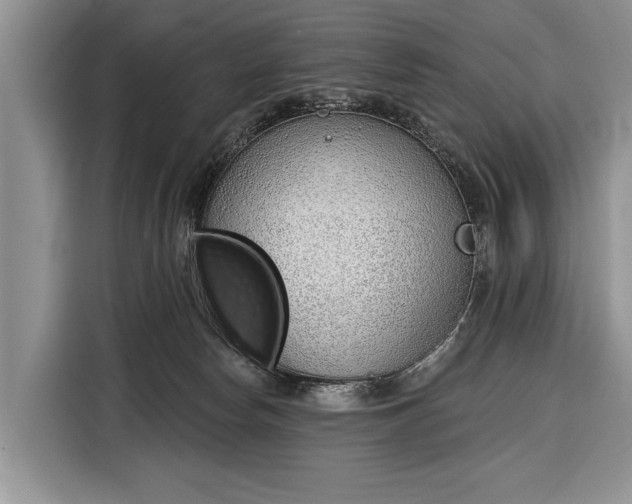 X0000116380178200912091422