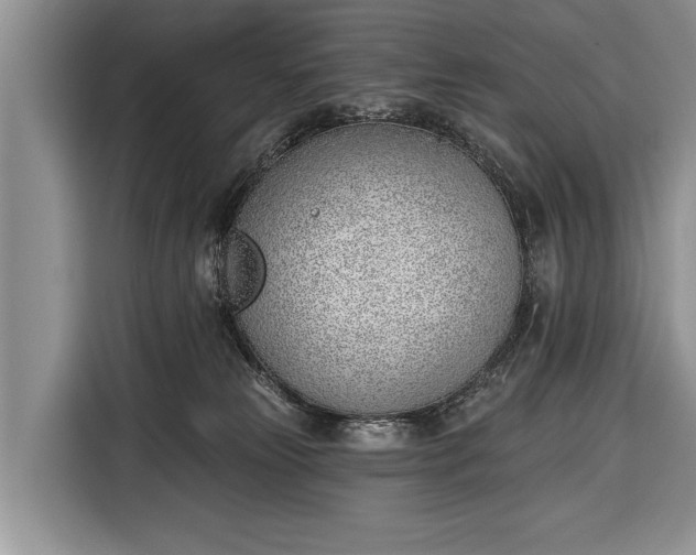 X0000116380181200912091422