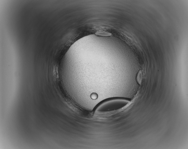 X0000116380182200912091422