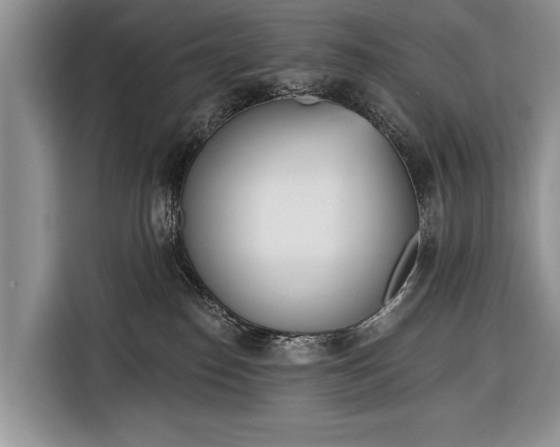 X0000116380186200912091422