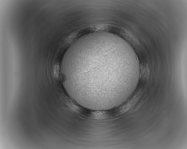 X0000116380189200912091422