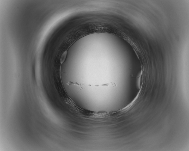 X0000116380190200912091422