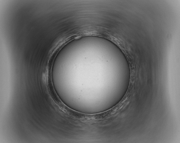 X0000116380194200912091421