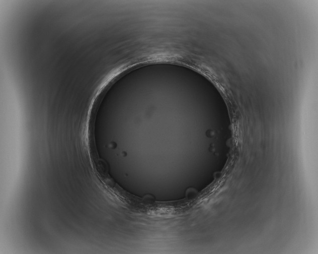 X0000116380196200912091421