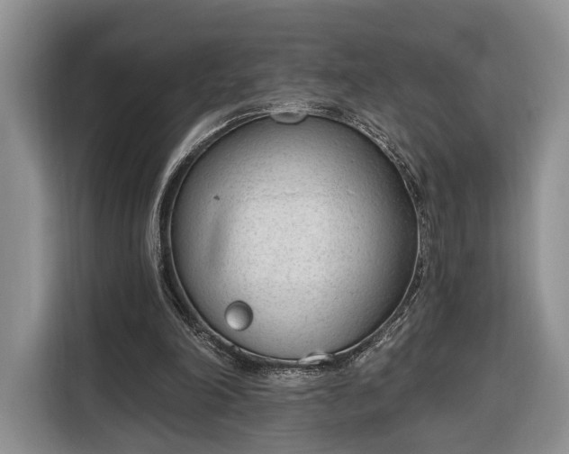 X0000116380198200912091421