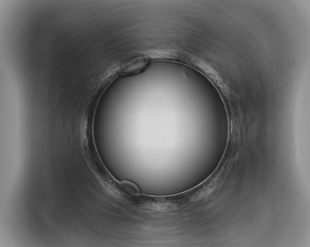 X0000116380201200912091421