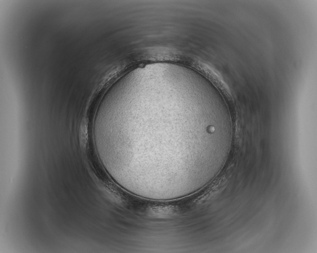 X0000116380202200912091421
