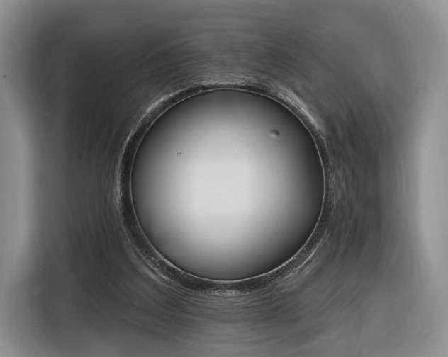 X0000116380203200912091421