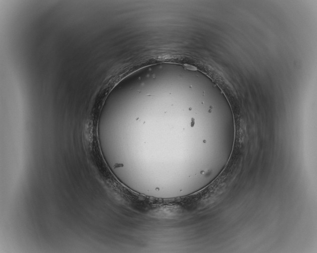X0000116380210200912091421