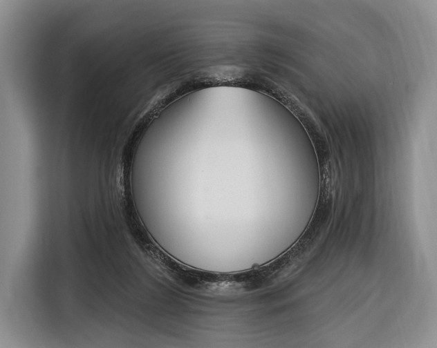 X0000116380212200912091421