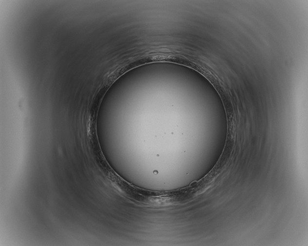 X0000116380219200912091421