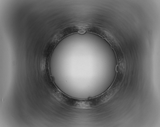 X0000116380221200912091421