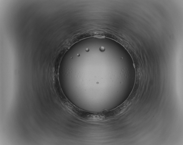 X0000116380223200912091421